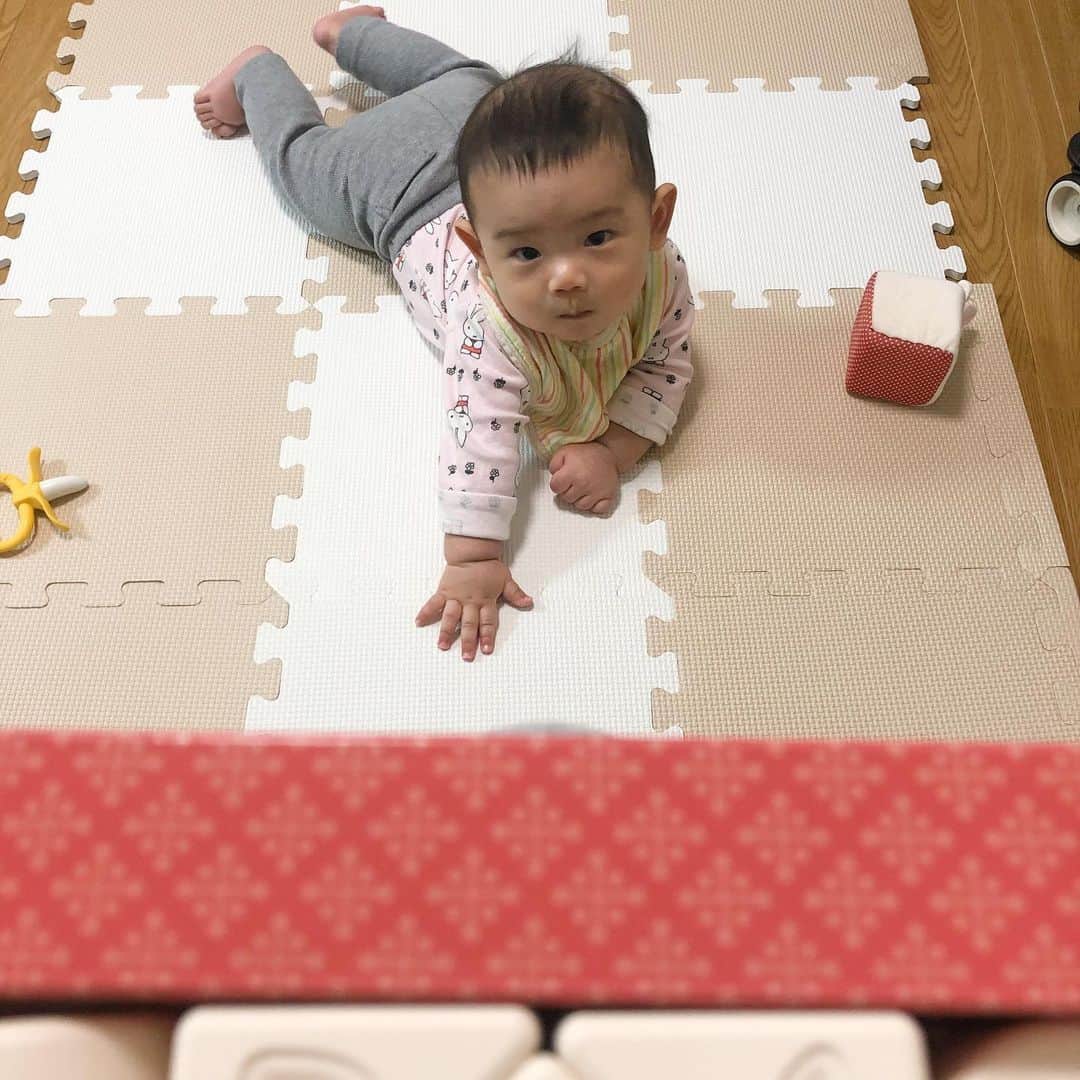 馬渕史香のインスタグラム：「新しいおもちゃでも出すかなーって思って箱をごそごそしてたら視線を感じました  #あしざわ家 #赤ちゃんのいる生活 #令和2年生まれ #5月生まれ #男の子ベビー #令和ベビー #babyboy #2020baby #ゼクシィbaby #ベビーグラム #ベビフル #コズレ #ままのて #ゼクシィbabyママ隊 #ずぼら主婦 #キッズラボラトリー ﻿#キッズラボラトリーCP﻿ #レンタルオモチャ﻿ #レンタルおもちゃ﻿ #おもちゃレンタル ﻿#知育玩具  #お米のつみき」