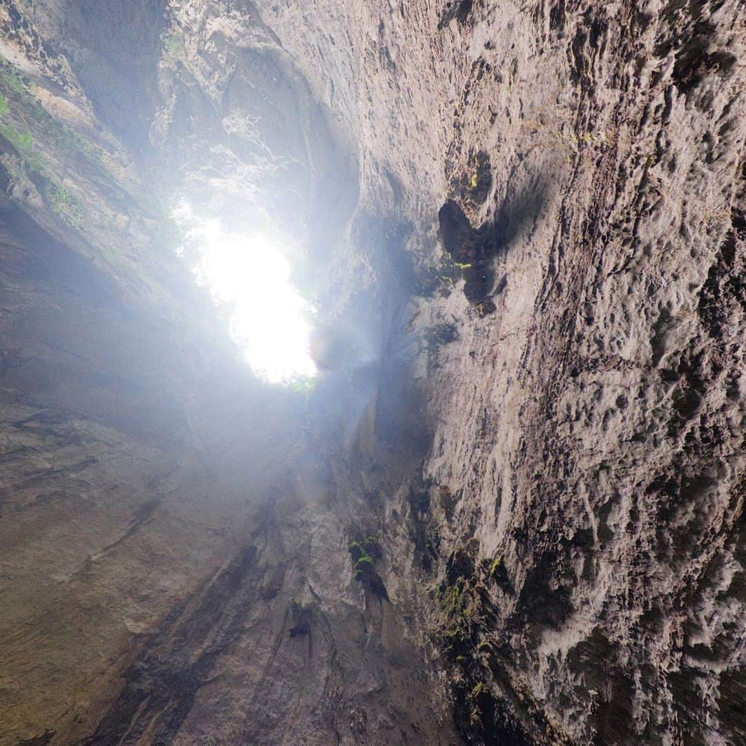 National Geographic Travelさんのインスタグラム写真 - (National Geographic TravelInstagram)「Photos by @MartinEdstrom / Swipe to look around inside the largest cave in the world, Son Doong in Vietnam. Standing on top of this spiral stalagmite, you're surrounded by green plants even though you are several hundred feet below the ground. This is because of a collapsed opening in the ceiling of the cave, a sinkhole, that lets sunlight come in and make it possible for plants to grow. Swipe to the last image to see the hole in the ceiling.  This 360-degree image is part of a larger interactive story about Son Doong you can find on natgeo.com, where you can explore the cave as if you were there. Follow @MartinEdstrom for more interactive stories from all over the planet. #vietnam #sondoong360 #360 #virtualreality #interactive」11月14日 0時38分 - natgeotravel