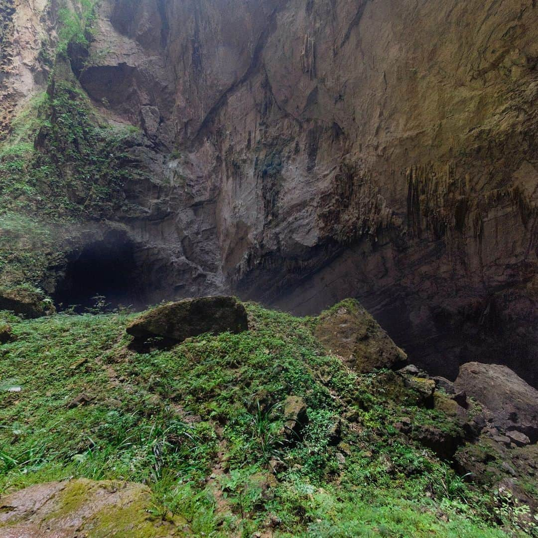 National Geographic Travelさんのインスタグラム写真 - (National Geographic TravelInstagram)「Photos by @MartinEdstrom / Swipe to look around inside the largest cave in the world, Son Doong in Vietnam. Standing on top of this spiral stalagmite, you're surrounded by green plants even though you are several hundred feet below the ground. This is because of a collapsed opening in the ceiling of the cave, a sinkhole, that lets sunlight come in and make it possible for plants to grow. Swipe to the last image to see the hole in the ceiling.  This 360-degree image is part of a larger interactive story about Son Doong you can find on natgeo.com, where you can explore the cave as if you were there. Follow @MartinEdstrom for more interactive stories from all over the planet. #vietnam #sondoong360 #360 #virtualreality #interactive」11月14日 0時38分 - natgeotravel