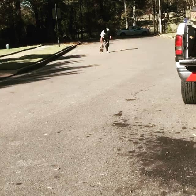 ティム・ハワードのインスタグラム：「MY GUY DOING HIS THING 🛹 🤟🏽 @young.midnight #PMA」