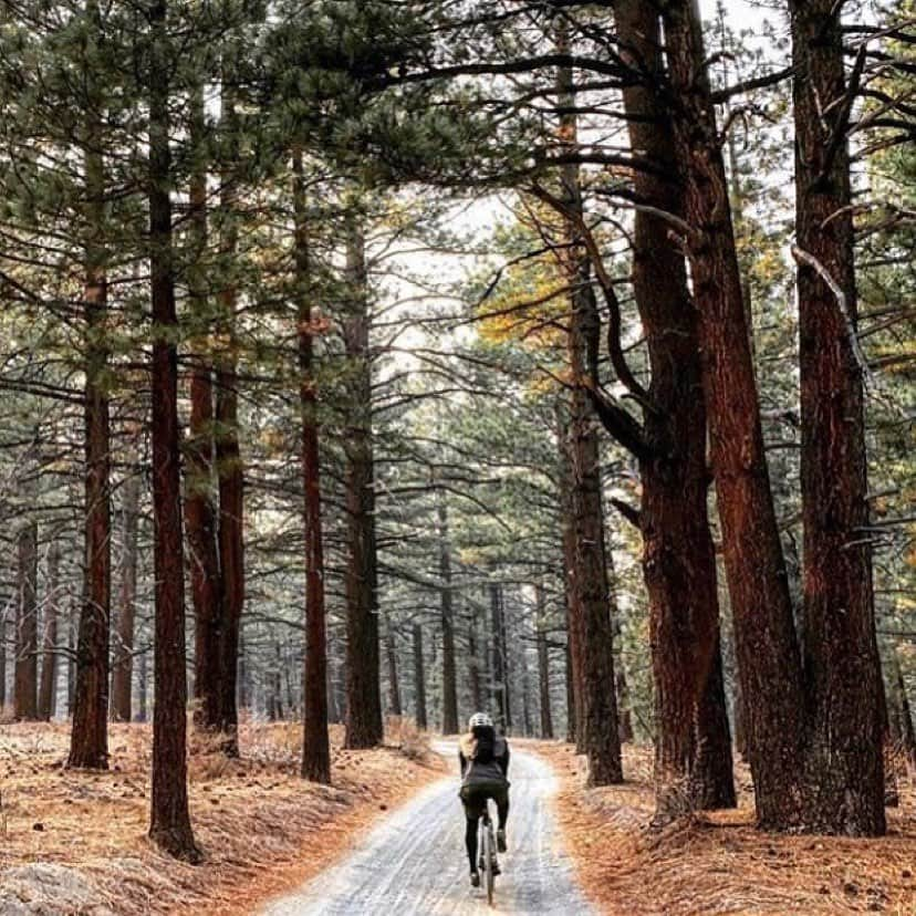 Fuji Bikesさんのインスタグラム写真 - (Fuji BikesInstagram)「It's a beautiful weekend to ride into the wilderness! 📷: @gravel_authority   #bike #bikeride #bikelife #bikes」11月14日 1時12分 - fujibikes