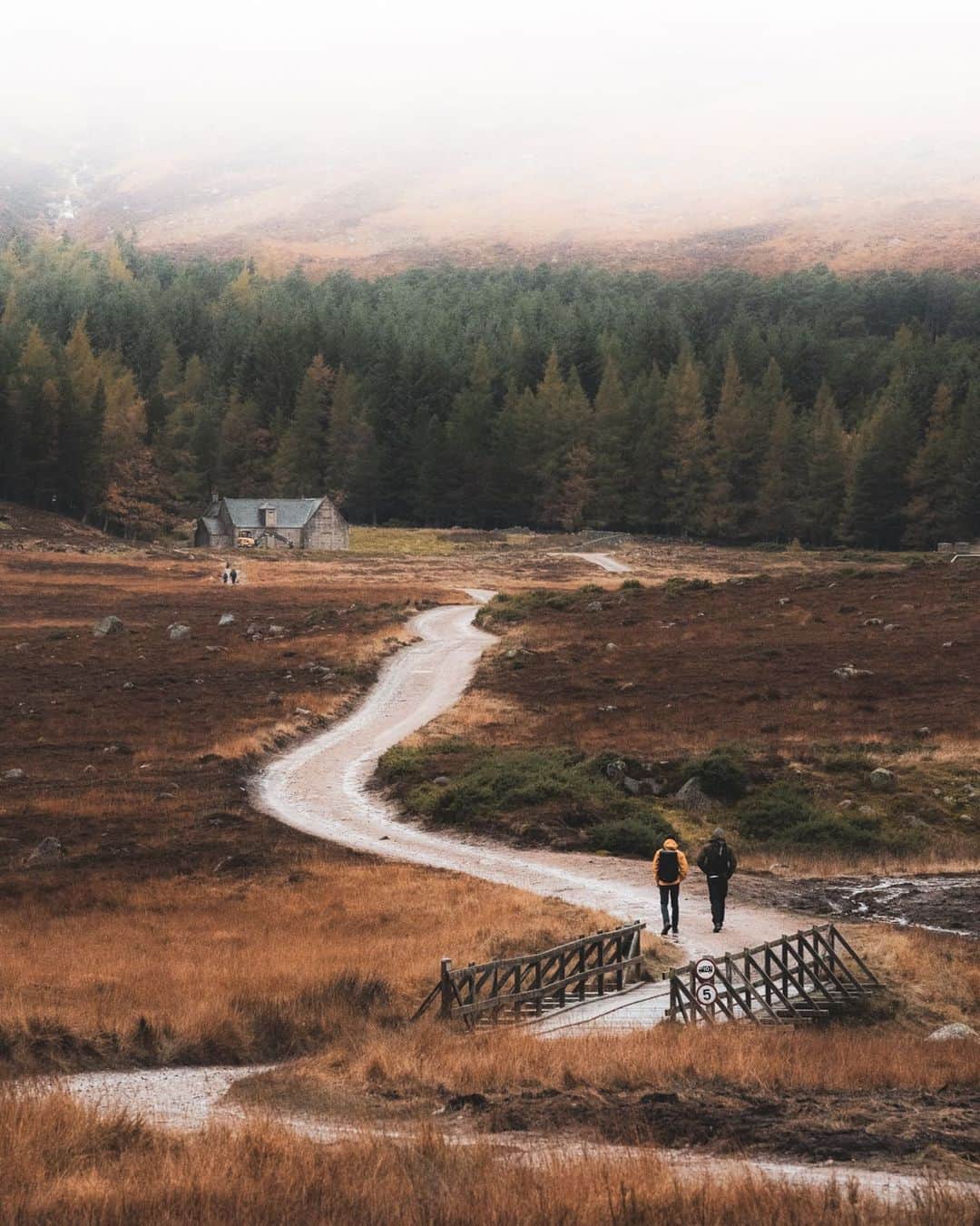 MR PORTERのインスタグラム：「“To experience nature we must do more than bear witness. To see it from a passing train window is not always enough and sometimes you have to walk in it or through it, or climb down into it. Full immersion.” Head to the link in bio to read award-winning novelist Ben Myer's essay on finding ourselves in nature. #MRPORTERinthewilderness」