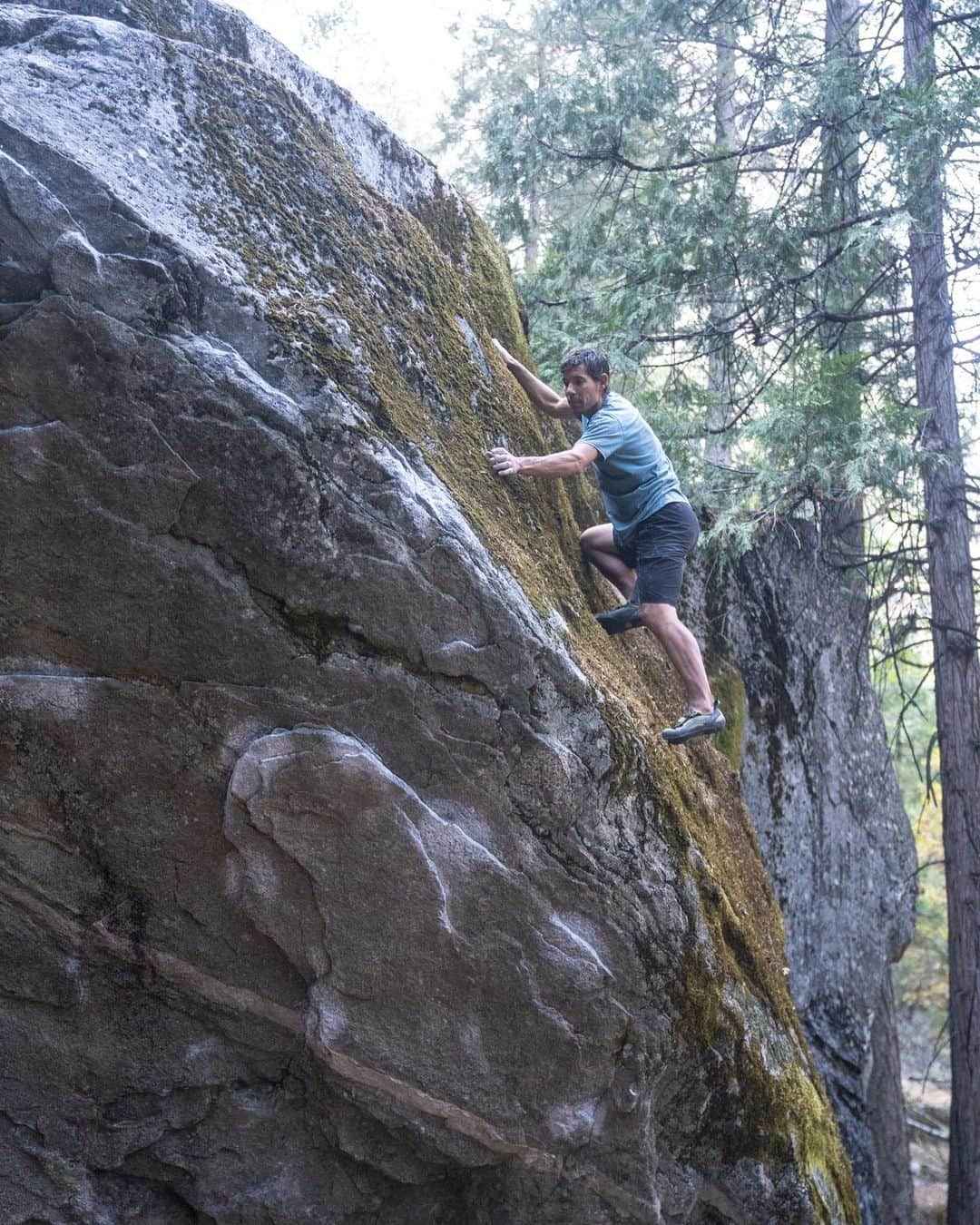 アレックス・オノルドさんのインスタグラム写真 - (アレックス・オノルドInstagram)「I’ve been bouldering a bunch in Yosemite this season, partially because I don’t have any particular big wall goals this year and partially because there’s a new bouldering guidebook. It’s great to finally have a comprehensive guide available - there’re so many incredible boulders scattered all over the Valley floor. There’s a link in my bio for anyone who wants the book - it’s really well done. Photos, and guidebook, by @james_lucas, @shannonekj, @kimbroughclimbs @yosemitevalleybouldering  (The photos are on variations to the King, V6/V7ish)」11月14日 2時36分 - alexhonnold