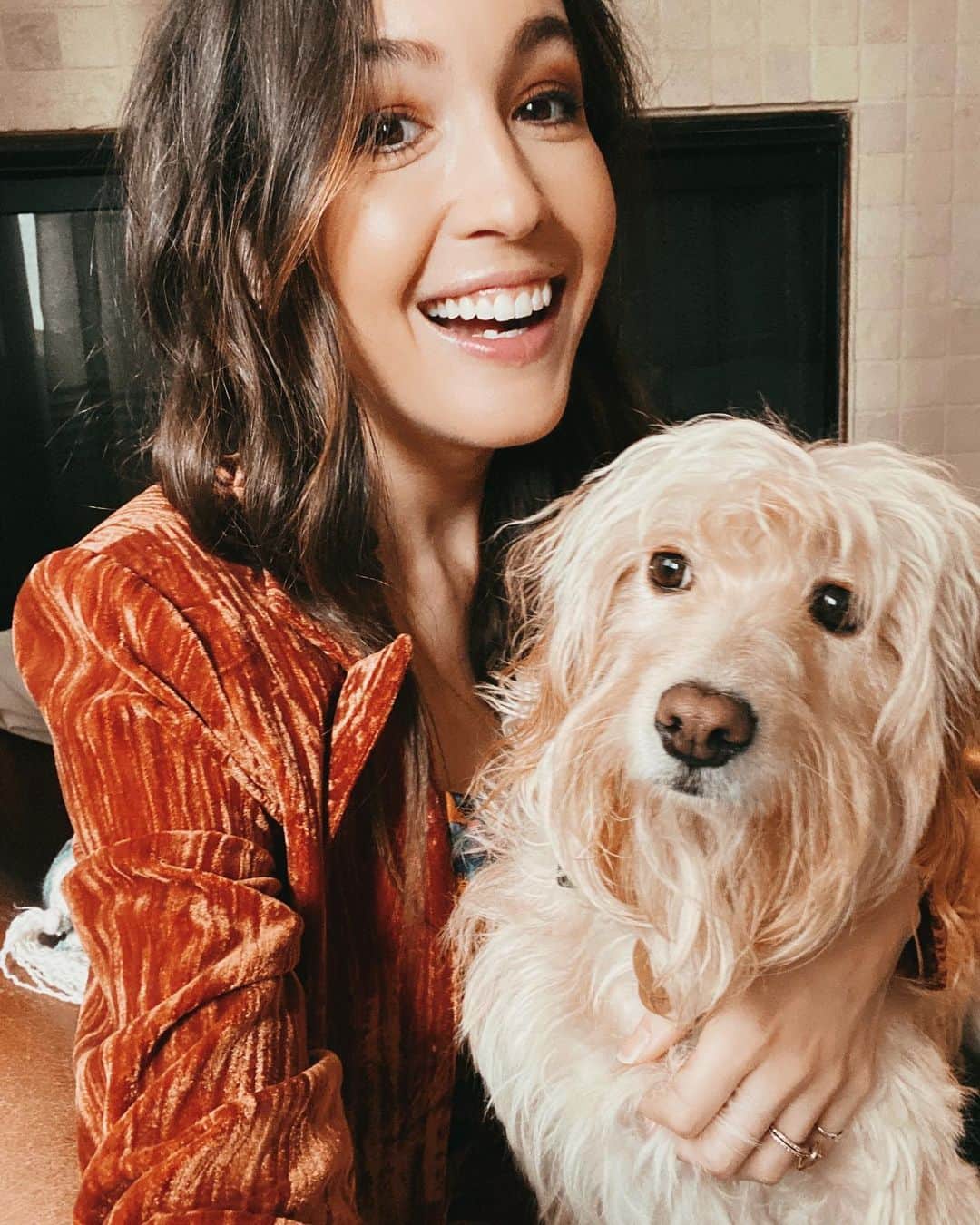 ケイト・ボイージェルのインスタグラム：「this is how me & Nola feel about my new single “This Is Home” coming out today! 🎵🏡  .  Thank you all SO much for all the amazing messages and shares for this song so far- I’m so proud of it and it felt like the perfect time to pay homage to the places, people, and things that feel like “home” to us. I wrote this with my very talented friend @lordlichens (who also produced it) and I’m so excited it’s finally out in the world! .  Swipe to see some new art prints and tee designs I created to celebrate the release of this song- I’m starting a “this is home” painting and illustration series based on all the places I’ve called home over the years (there have been a lot lol), and first up is Wilmington, NC! .  I lived in this little coastal town in NC while filing four seasons of “One Tree Hill,” and I know how meaningful this place is to so many of you because it’s so meaningful to me too. I had a lot of fun drawing some of my favorite landmarks and reminders of why Wilmington feels like home 🌊💙 .  Links to all of these new shop items are in my stories and will be in my highlights too, along with links to hear “This Is Home” on Spotify and Apple! Thanks so much again for the love for this song and happy Friday!! 🎵🎶🎸🎤」