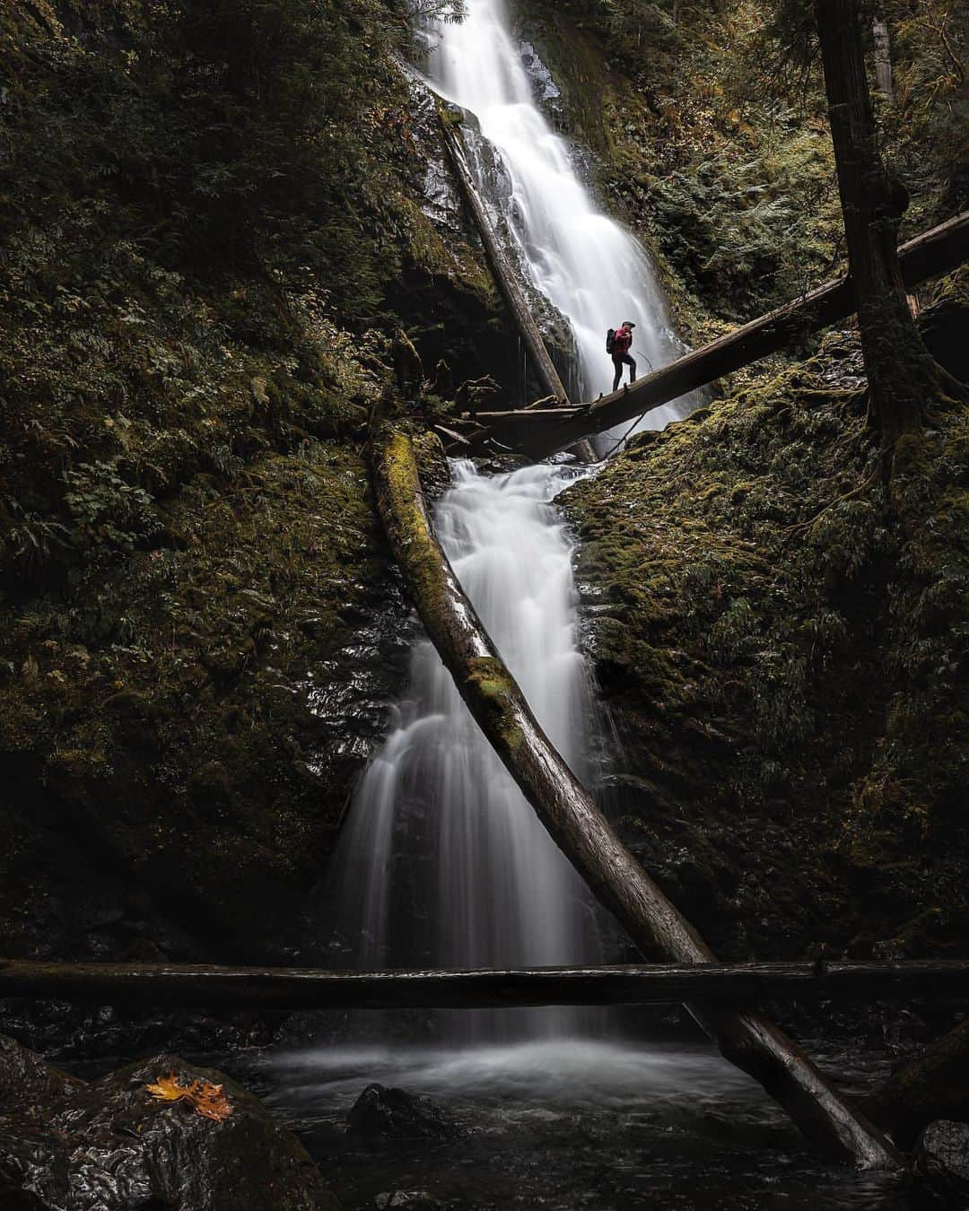 PolarProさんのインスタグラム写真 - (PolarProInstagram)「Photo of the Day: Tag a friend you’d make go stand at the top 😅  Shot on #Canon 6D MII  f8  1/3 sec  #QuartzLine CP 📸: @shotsbyesco」11月14日 3時34分 - polarpro