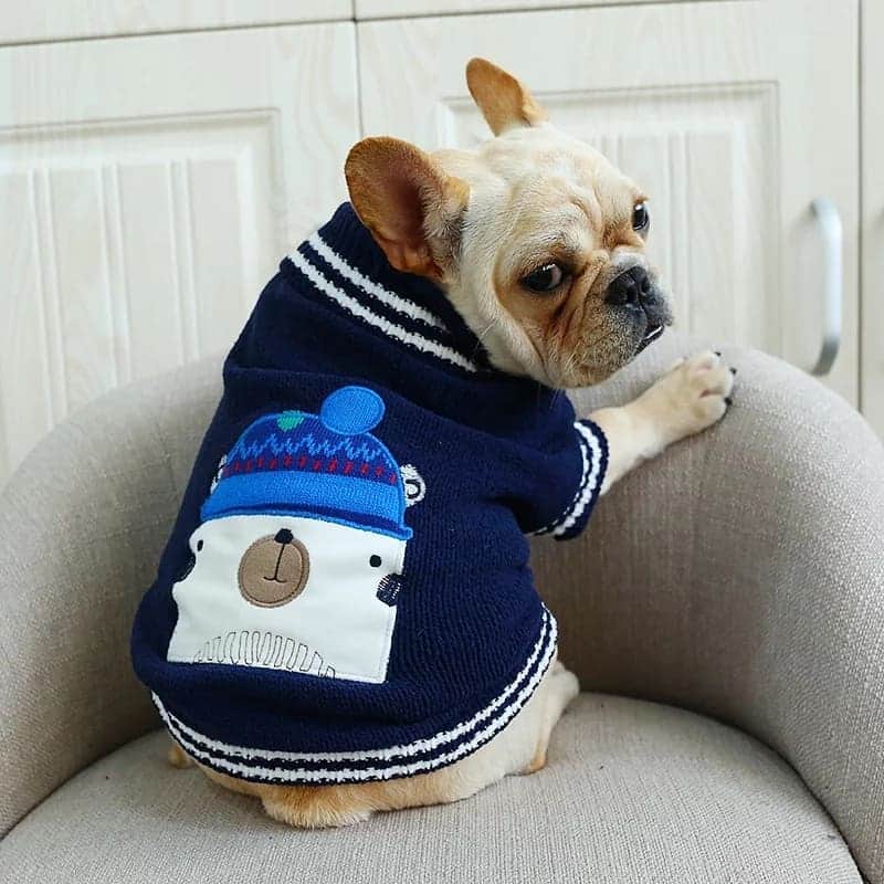 French Bulldogさんのインスタグラム写真 - (French BulldogInstagram)「Christmas Sweaters In Shop Now 🎄🎅🦌 Exclusive in @frenchie.world shop 🛍🛍🛍 👉 LINK IN BIO 🔝 . . . . . #frenchie #frenchies #französischebulldogge #frenchbulldog #frenchbulldogs #dog #dogsofinstagram #frenchieworld #bully #bulldog #bulldogfrances #フレンチブルドッグ #フレンチブルドッグ #フレブル #ワンコ #frenchiesgram #frenchbulldogsofinstagram #ilovemyfrenchie #batpig #buhi #squishyfacecrewbulldog」11月14日 3時39分 - frenchie.world