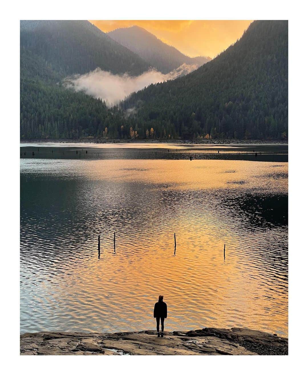 Cory Staudacherさんのインスタグラム写真 - (Cory StaudacherInstagram)「Shooting around Lake Cushman with the new iPhone 12 Pro! Same shot with the different focal lengths - 1. Wide 2. Telephoto 3. Ultra Wide @apple #shotoniphone12pro」11月14日 4時12分 - withhearts