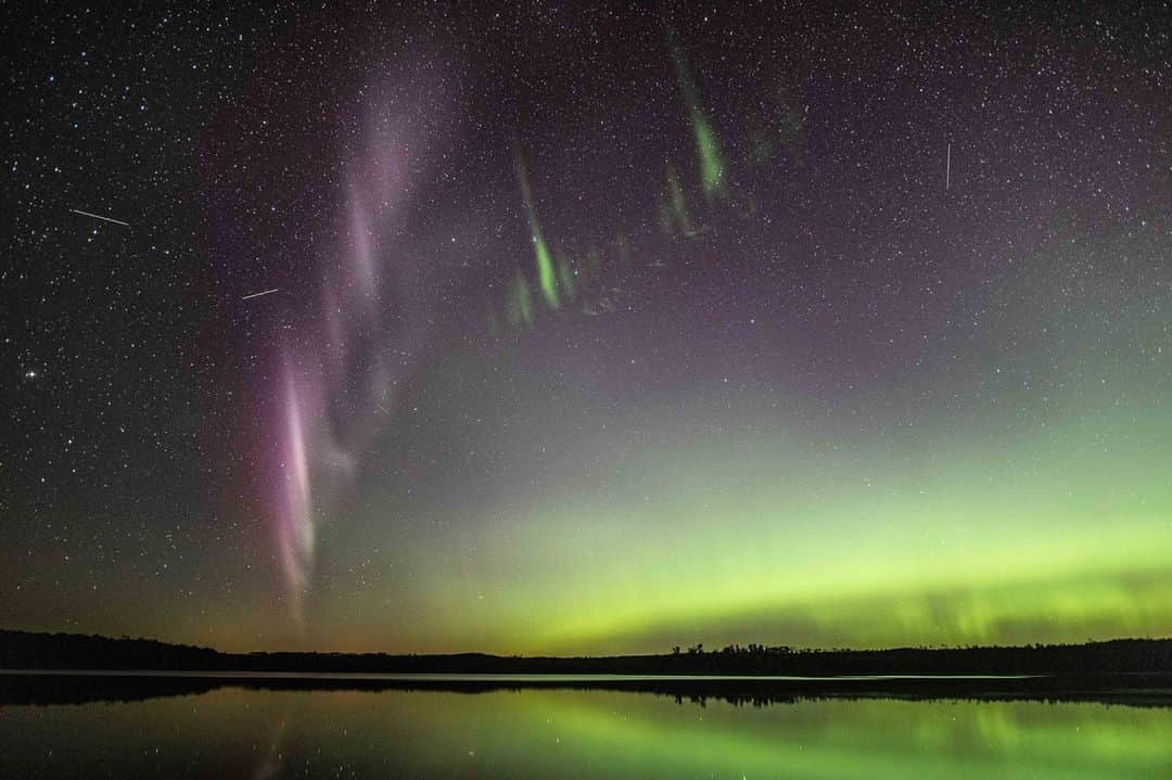 NASAさんのインスタグラム写真 - (NASAInstagram)「Citizen scientists have helped discover a new feature of the aurora-like STEVE phenomenon — one that may help scientists understand what causes it.   STEVE, short for Strong Thermal Emission Velocity Enhancement, appears as a purple ribbon of light in the sky with a green picket fence structure underneath. Its discovery — published in a scientific journal in 2018 — was thanks to reports by aurora chasers and citizen scientists who had noticed the unusual sight.   Now, new research details another aspect of STEVE discovered by citizen scientists: tiny streaks of light within the green picket fence structure. Studying these streaks could help scientists learn more about the magnetic and particle processes that cause STEVE to appear in the sky.   This photo was taken on July 17, 2018, at Little Kenosee Lake, Saskatchewan, Canada, showing the tiny green streaks below STEVE.   Visit the link in our bio for more. Image credits: Copyright Neil Zeller, used with permission.」11月14日 4時14分 - nasagoddard