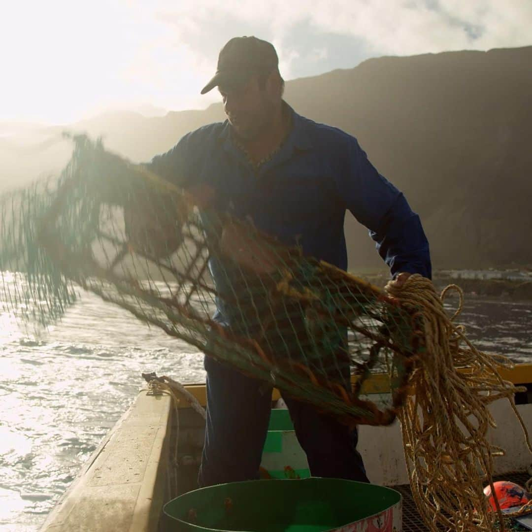 レオナルド・ディカプリオさんのインスタグラム写真 - (レオナルド・ディカプリオInstagram)「Today, Tristan da Cunha, the most remote inhabited island on Earth, becomes the world’s biggest sanctuary for wildlife in the Atlantic. The Tristan community’s decision  creates a Marine Protection Zone encompassing almost 700,000 sq km of its waters, the largest in the Atlantic.   The @natgeopristineseas team conducted an expedition to the archipelago in 2017 in partnership with the Government of Tristan da Cunha and the Royal Society for the Protection of Birds to survey the health of the area’s marine environment. Led by @enricsala, Pristine Seas has helped to inspire the protection of over 6 million sq. km of ocean in 23 places around the world.  📷 @natgeopristineseas   #TristanDaCunha #NatGeo #WildlifeSanctuary」11月14日 4時38分 - leonardodicaprio