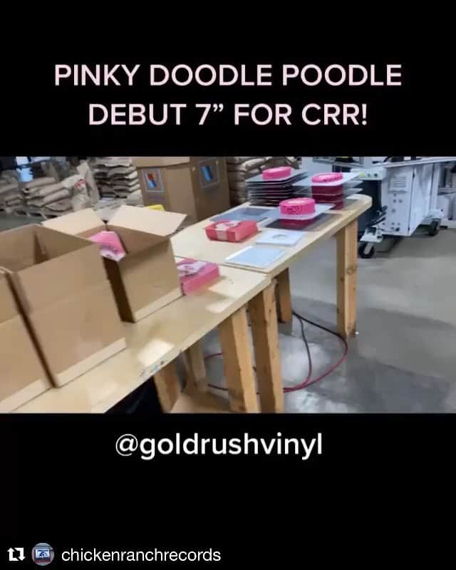 PINKY DOODLE POODLEのインスタグラム