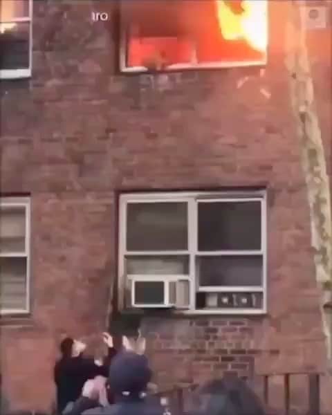 のインスタグラム：「#caturday 🔥🙀🔥」