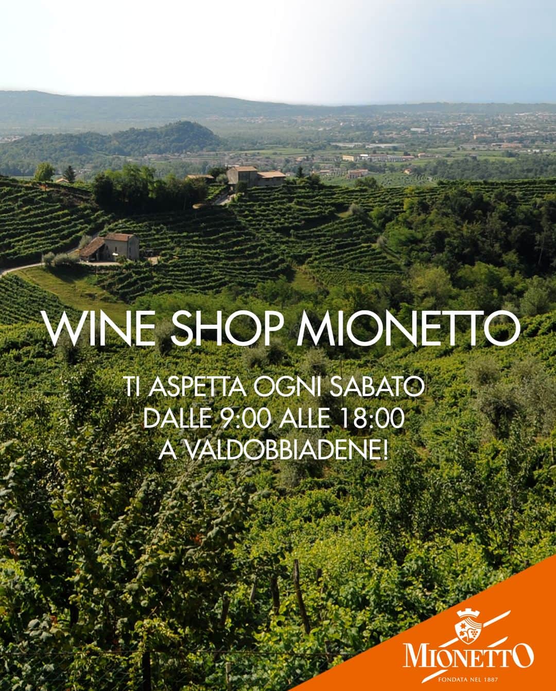 Mionetto Proseccoのインスタグラム：「Vieni a trovarci e a scoprire la nostra selezione di pregiate bollicine!⁣ Ti aspettiamo ogni sabato dalle 9:00 alle 18:00 nel nostro Wine Shop in via Colderove 2 a Valdobbiadene 🍾🧡 #mionettoprosecco #mionettoinsieme⁣ ⁣ ⁣ Bevi Mionetto responsabilmente」
