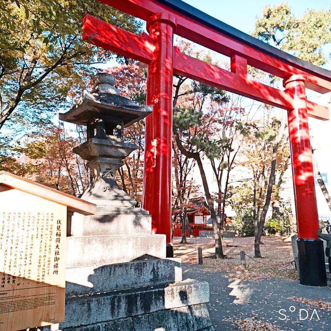 松本隆博のインスタグラム：「。 紅葉はもう少しかな… でも素敵だ。 (*˘︶˘*).｡.:*♡  ～人生遊歩道～」
