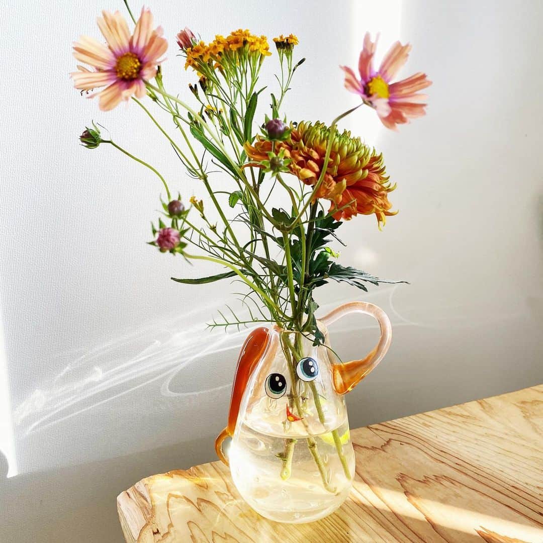 イアリサのインスタグラム：「一目惚れした花瓶🌸 チャッピーって名前なんだって！ #将来花瓶屋さんも開きたい #もう私よろず屋って言われてもおかしくないと思うんだよね」