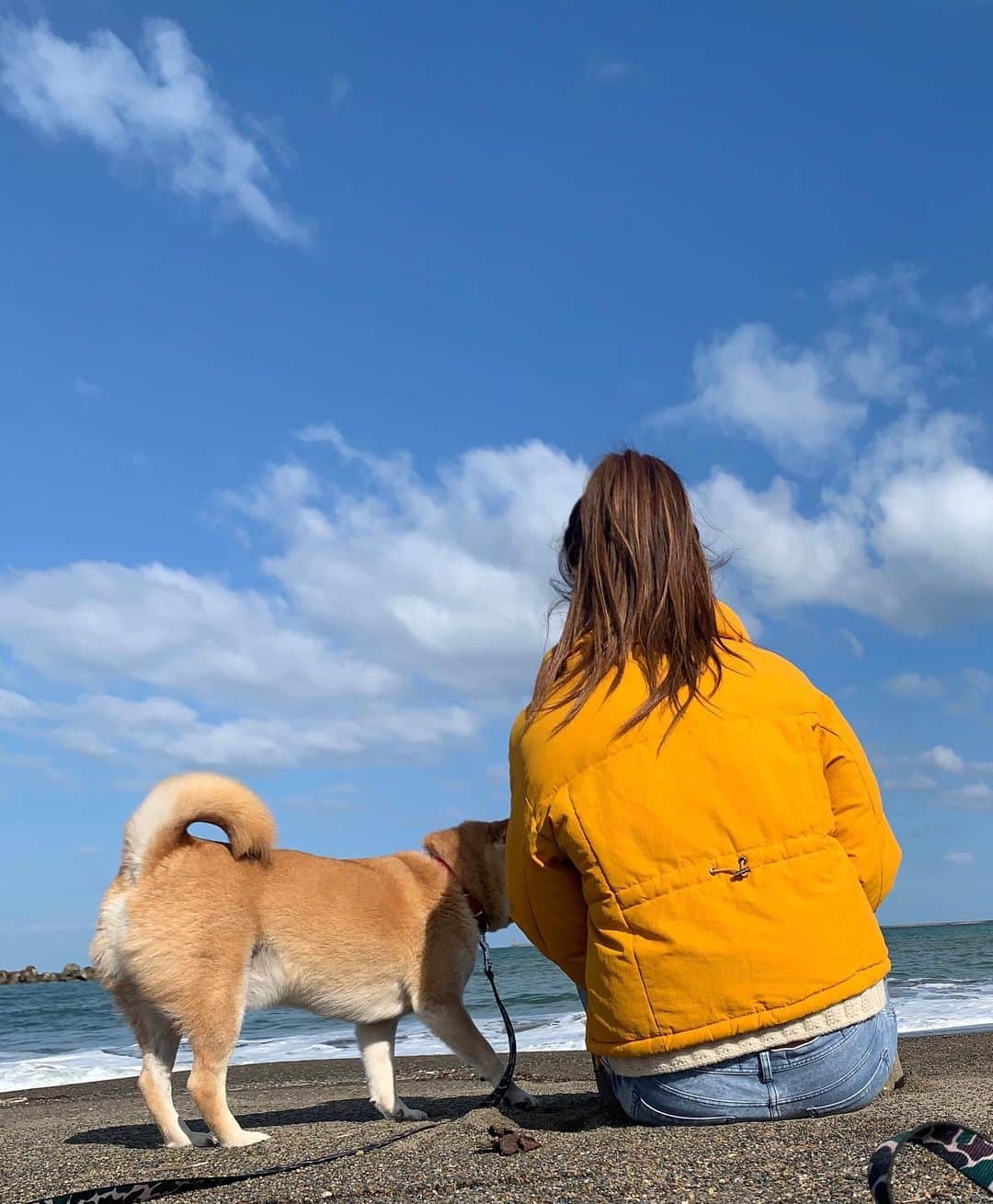 南武果歩さんのインスタグラム写真 - (南武果歩Instagram)「さぶちゃんと、日本海にヤッホーしに行ってきた🐕🏖  #柴犬#ペットのいる生活#日本海#海#愛犬との暮らし#愛犬との時間#犬のいる暮らし」11月14日 15時45分 - k3643h