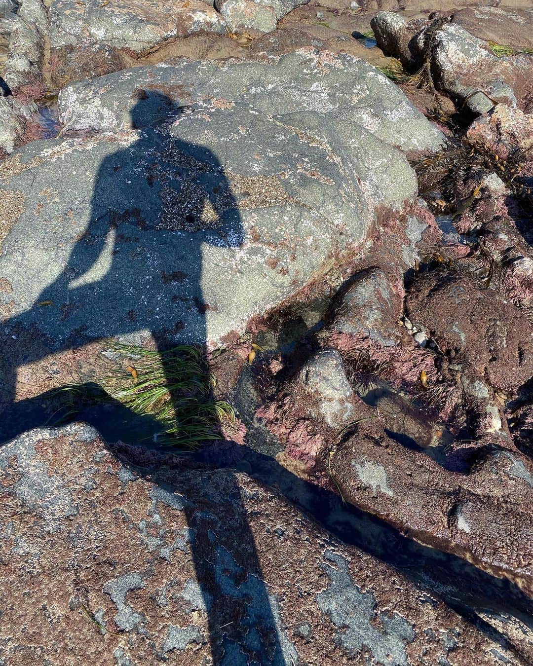 のインスタグラム：「“My soul is full of longing for the secret of the sea. And the heart of the great ocean sends a thrilling pulse through me.” — #henrywadsworthlongfellow」