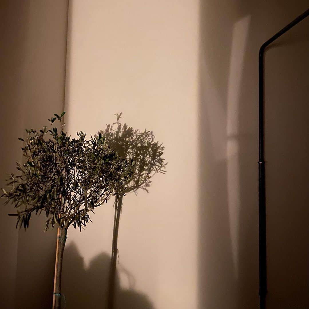 モニカ・ヤガチャクさんのインスタグラム写真 - (モニカ・ヤガチャクInstagram)「Memoir of cancelled year 😷」11月14日 7時38分 - jacmonika