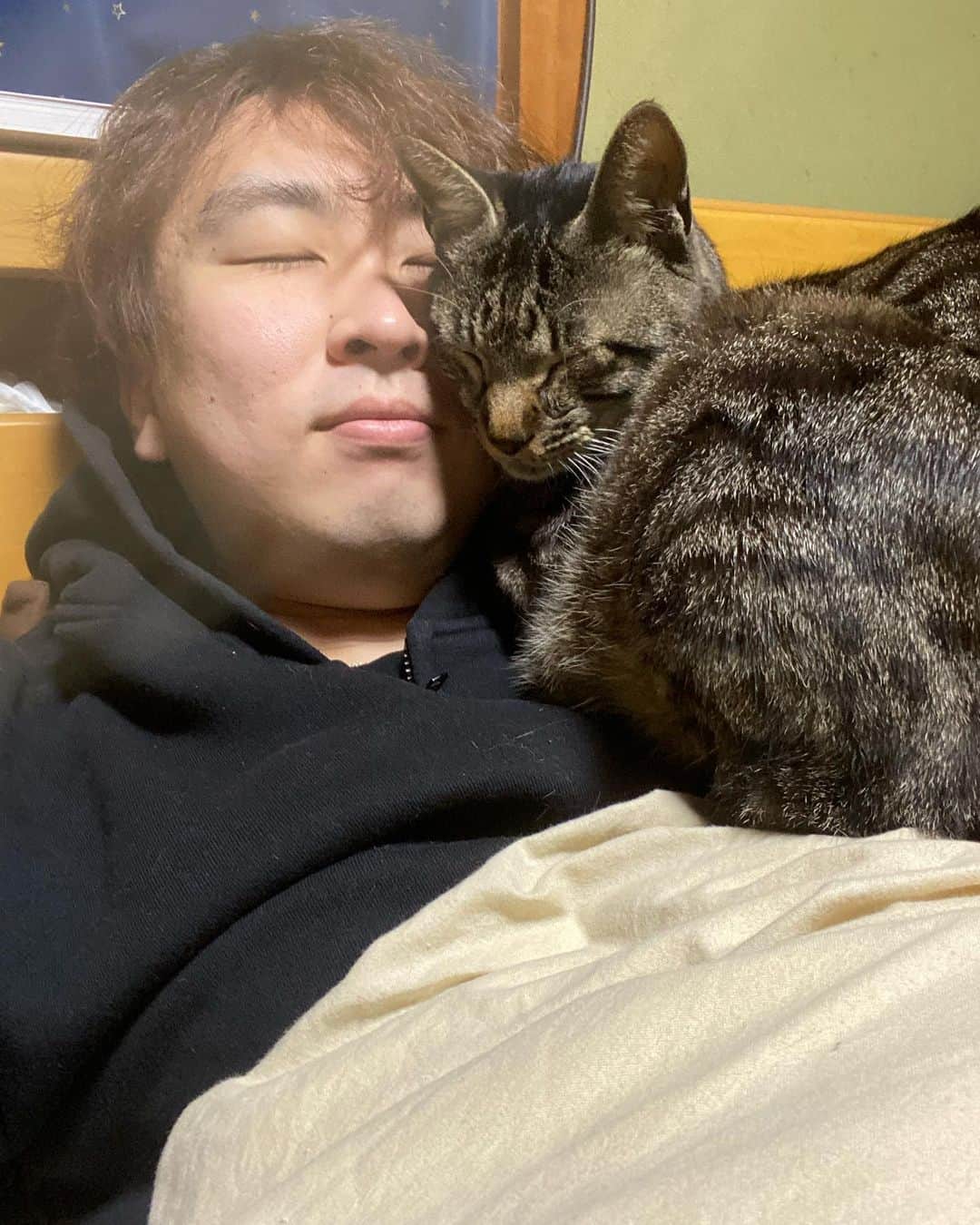 かねこのインスタグラム：「なかよしこよし🐱🐽」