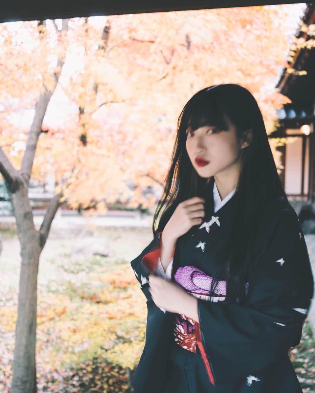 YAkU のインスタグラム：「今年も#紅葉 行けたらいいな　#🍁」