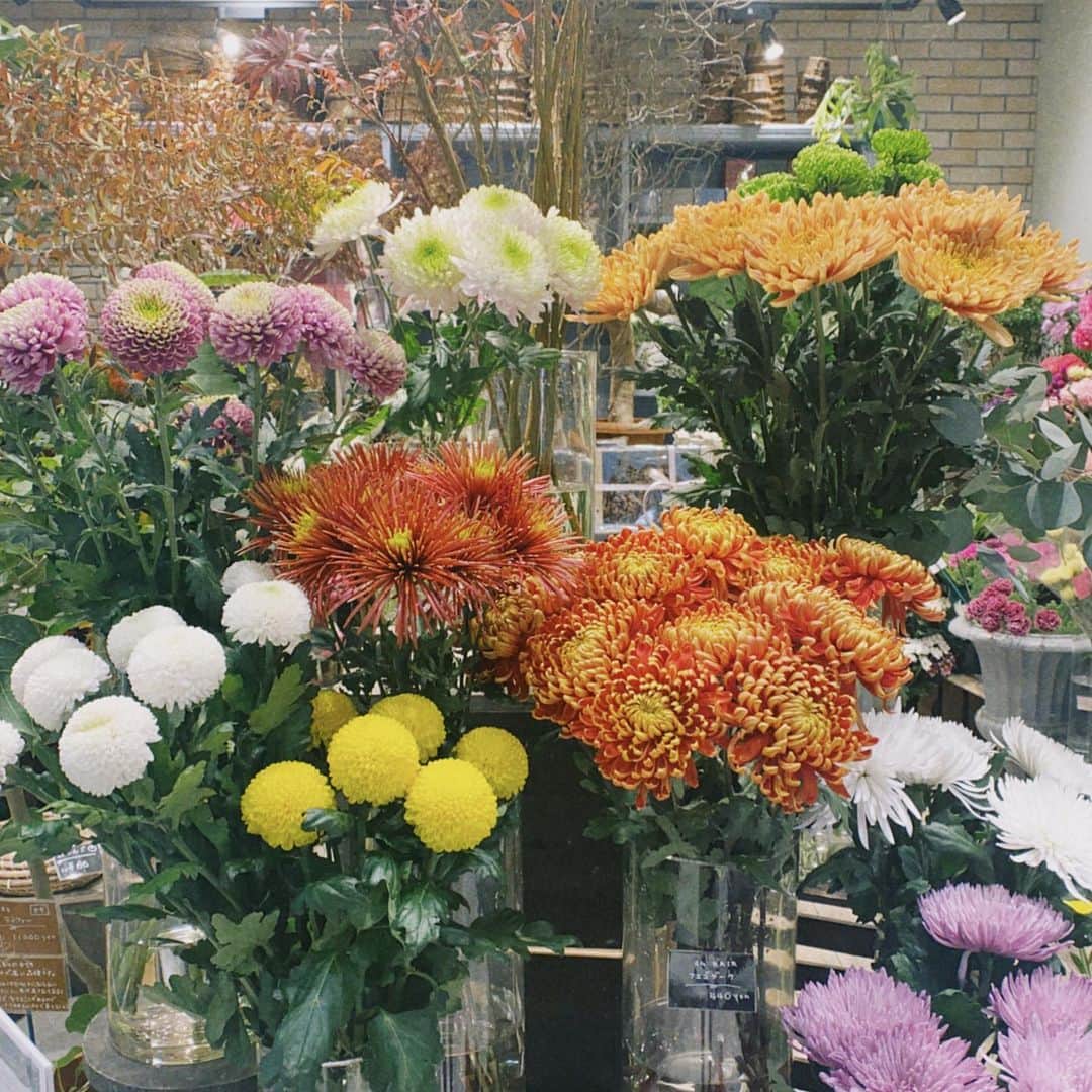 三橋栄香のインスタグラム：「💐💐💐」