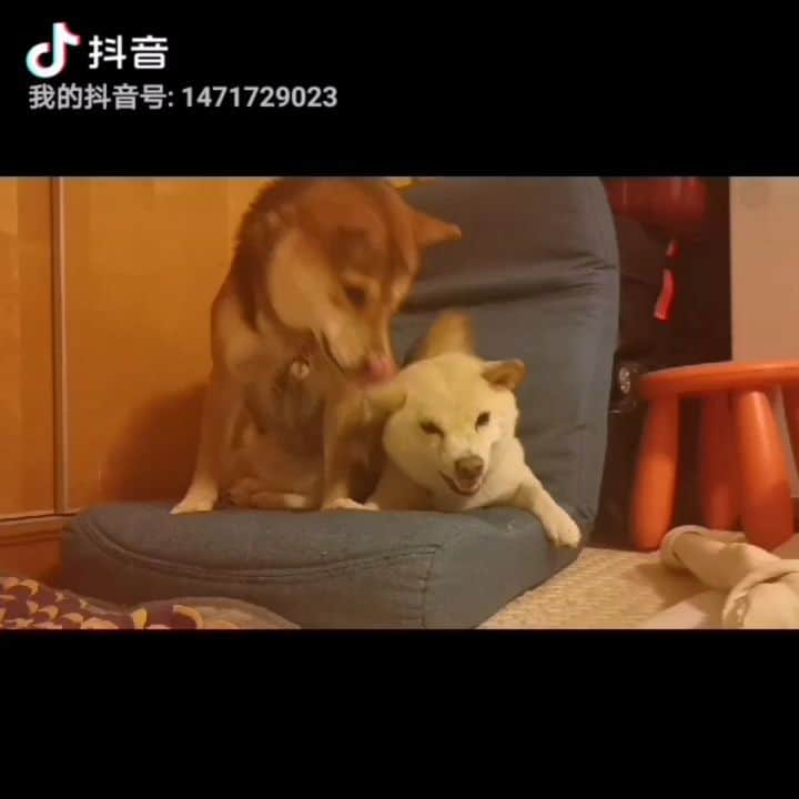 ジェン・サイサイのインスタグラム：「😂😂😂」