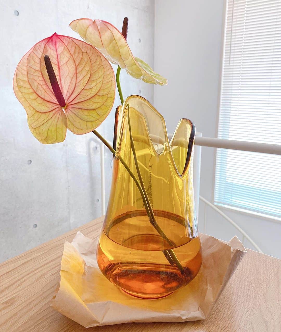 Sachiのインスタグラム：「一目惚れした flower vase はmade in USAのもの。 . お花は先日お客様の入江さんに頂いた @loveletter_meme のお花。 入江さん夫婦のNew Office @ariiiriearchitects の隣にあります♡ 1Fは素敵な中華屋さん @yuge_nakano  . 愛おしいなぁ。 冬の朝って光になってきた。 . #flower#life#flowervase#vase #sachiのflowermarket」