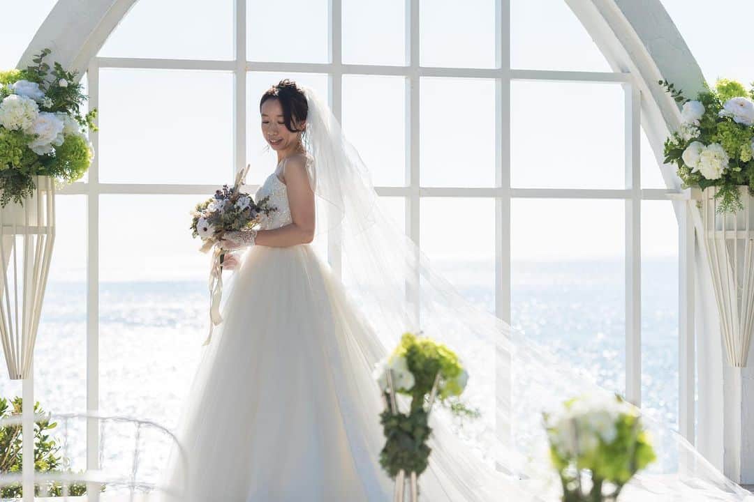 指帆亭のグルメインスタ