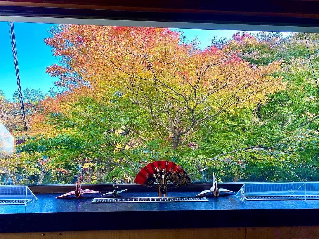 湯の山温泉 寿亭|Ryokan KOTOBUKITEIのインスタグラム：「･ おはようございます☀️ 本日、天気が良く、また、暖かい天候に涼しい風も吹き朝から気持ちがいいです🍃 ･ そして、こちらは2階のロビーからの本日の写真です！ 当館の日本庭園も色づき始め赤･黄･緑と3色楽しむことが出来ます🍂 是非、多くの方にお楽しみいただきたいです。 当館では、日帰り入浴も出来ます♨️ 日頃の癒しにいかがでしょうか。お待ちしております☺️ ･  . #三重#温泉#温泉好き#温泉旅行#旅行#温泉旅館#三重旅#三重旅行#女子旅#インスタ映え#旅館寿亭#湯の山温泉 #寿亭 #御在所岳 #ロープウェイ  #mie#japan#yunoyamaonsen#onsen#ryokan#ryokanlife#visitmie」