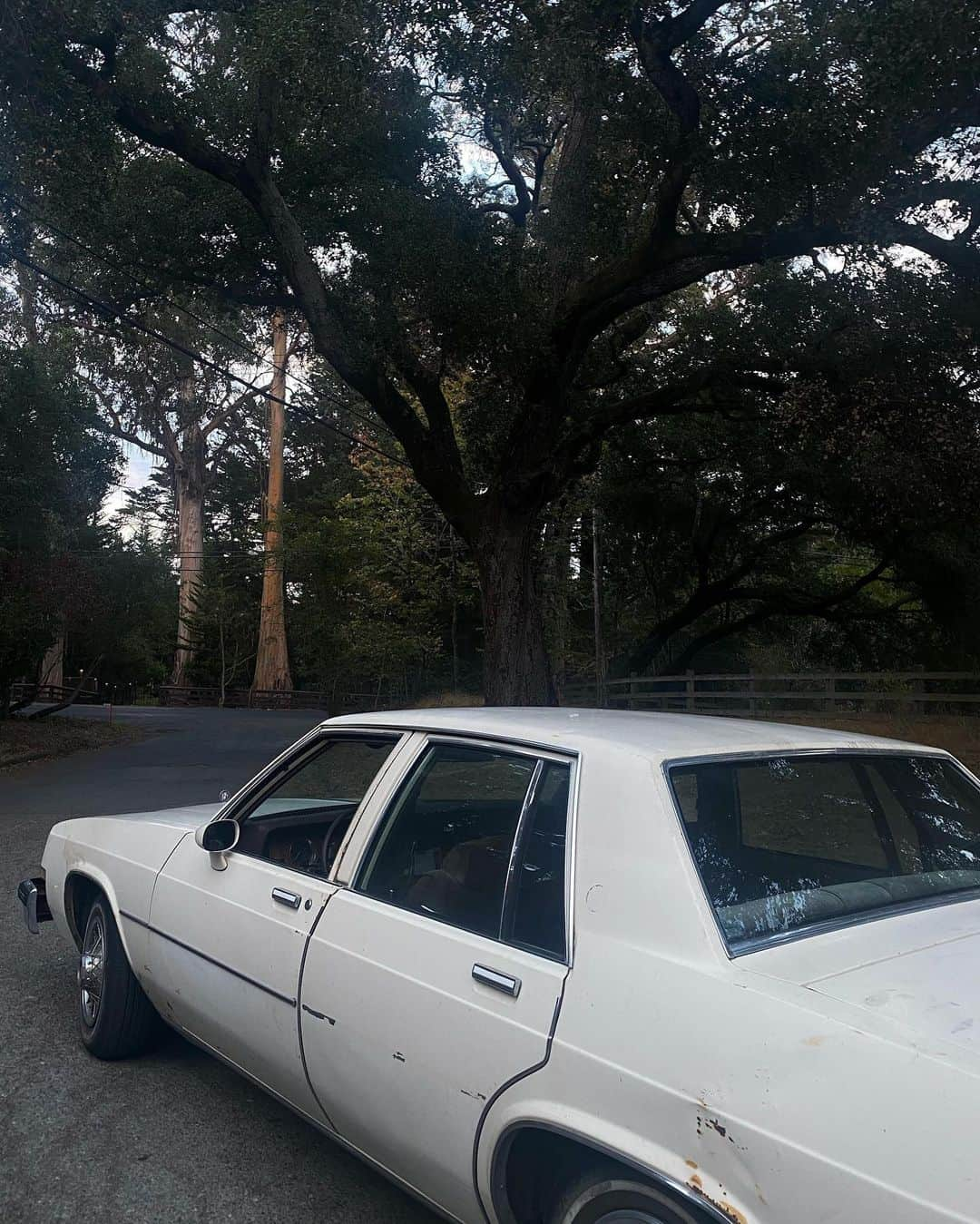 イヴ・ジョブズのインスタグラム：「What happens in the Buick stays in the Buick 🌄」