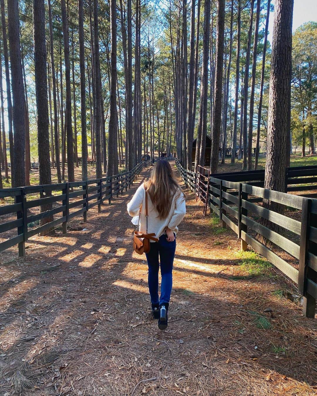 のインスタグラム：「It was a nice day 🐴」