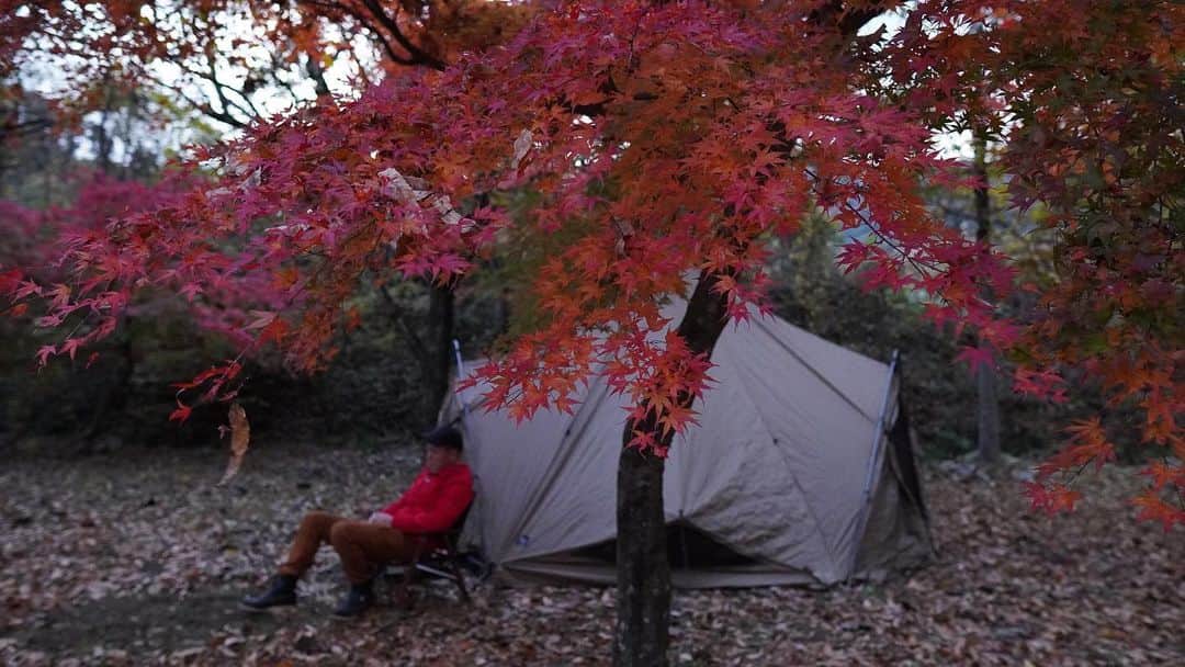 じゅんいちダビッドソンさんのインスタグラム写真 - (じゅんいちダビッドソンInstagram)「久々にデカテントソロで秋🍁のキャンプ。たのし、、まあでも寒かった〜。まもなく冬ね☃️ #キャンプ #ソロキャンプ #ひとりキャンプ #紅葉 #秋 #autmn #camp #camping #outdoor #ちゃんねるダビッドソン #焚き火」11月14日 9時23分 - 0204junich_davidson_official