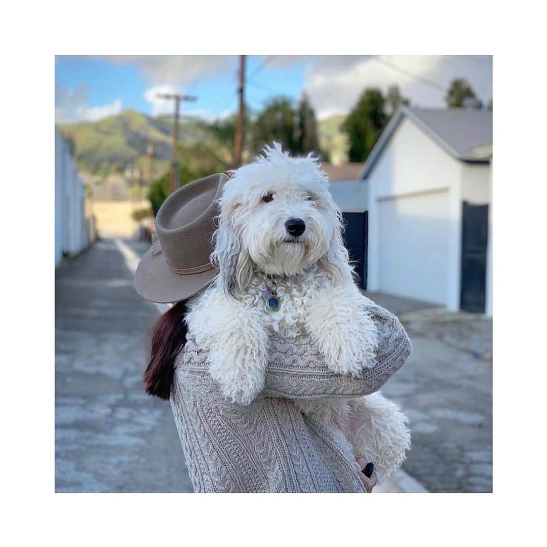メリル・デイヴィスのインスタグラム：「Let’s be the people our fur babies think we are! Happy #WorldKindnessDay! 🐶」