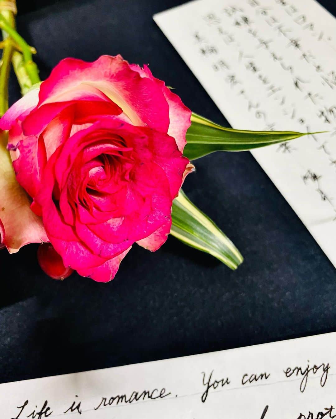 鈴木暁昇さんのインスタグラム写真 - (鈴木暁昇Instagram)「* ◆人生を楽しむ * 素敵な言葉を書いて気持ちを整理する。 * 勇気が出る美輪明宏さんの言葉です。 * * Life is romance. You can enjoy life if you think of yourself as the protagonist of a challenged story, rather than worrying about being unhappy. I'm sorry for my poor English. * * * @bloomeelife 様で初回のお花お届けが✨無料✨になる▼▼クーポンコード▼▼。大変お得です✨ ■クーポンコード：suzuki ■有効期限：2020年11月30日 * お花は確りととパックされてポストに届きます。パカっと開けるとステキな花が飛び出します。ポスト投函でも枯れない工夫もされています。 * *** *** *** *** *** *** * * #書道 #鈴木曉昇 #和 #wabisabi #calligraphy #筆文字 #artistic #硬筆 #ペン字 #beautiful #chinesecalligraphy #japanesecalligraphy #墨 #sumi #書法 #japan #手書き #美文字 #手書きツイート #オリンピック #Olympic #japaneseculture #日本 #chineseculture #書道パフォーマンス #bloomeelifeはじめました　#ブルーミーライフ　#花サブスク」11月14日 10時05分 - gyousyou_suzuki
