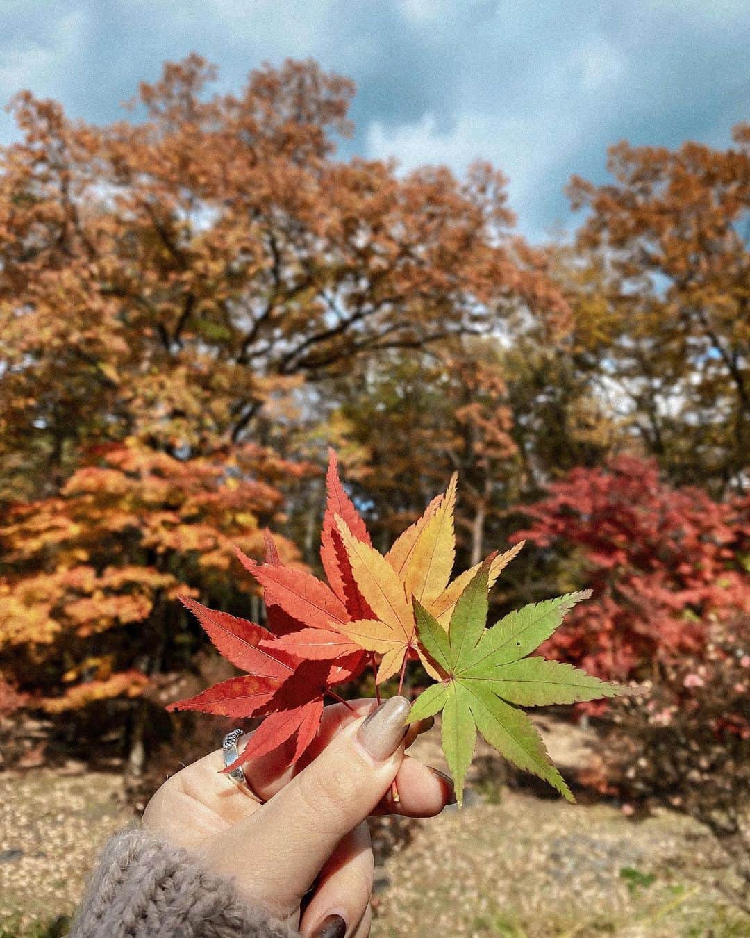 Manamiのインスタグラム：「🍁🍁🍁  憧れのキャンピングカーでのCAMP🚐✨ こんな最高でこんなぽんこつなCAMPは初めて😌❤️ このキャンピングカーは8人寝れる1番でっかいのだから 6人余裕で寝れました😴❤️ @japanroadtrip  紅葉も綺麗だった☺️❤️🍁 けどもう冬だから私たち含め3組しかいなかった☺️ とっても親切で、お湯も出る快適なキャンプ場でした🏕 @nikko_daiyagawa_park  OOTDは hut @lackofcoloraus knit @cavezarosso leggings @uniqlo  boots @sorel_jp @sorelfootwear bag @ayakawasaki」