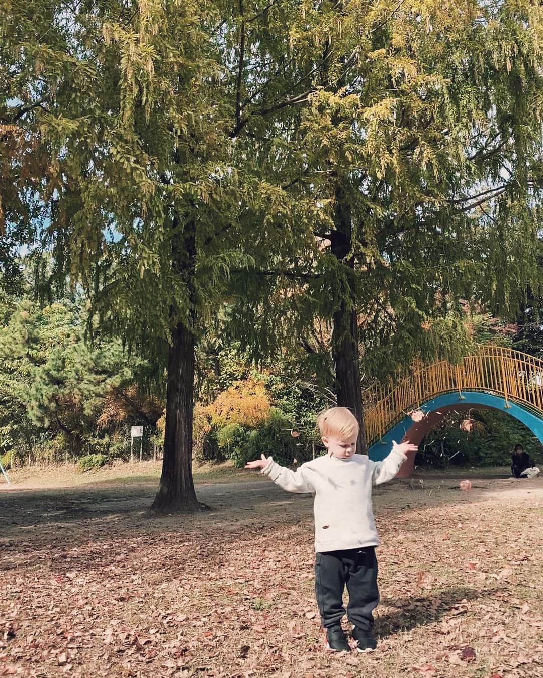 リアノン・ランゲラック（ミッチェル・ランゲラックの妻）のインスタグラム：「Autumn 🍂🧡」
