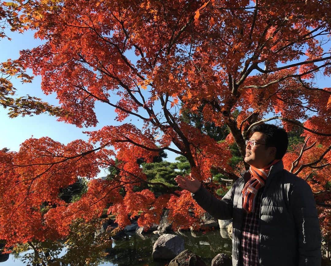 愛媛朝日テレビ アナウンサーさんのインスタグラム写真 - (愛媛朝日テレビ アナウンサーInstagram)「市脇です。なるちか！中継は松山城周辺でこの時期ならではの楽しみ方をご紹介しました。松山城二之丸史跡庭園では、赤く染まるヤマモミジのおかげで、45歳のオッサンがいつもとは違う姿に見えるような、見えないような（笑）いまならではの光景です…」11月14日 10時39分 - eat_5ch