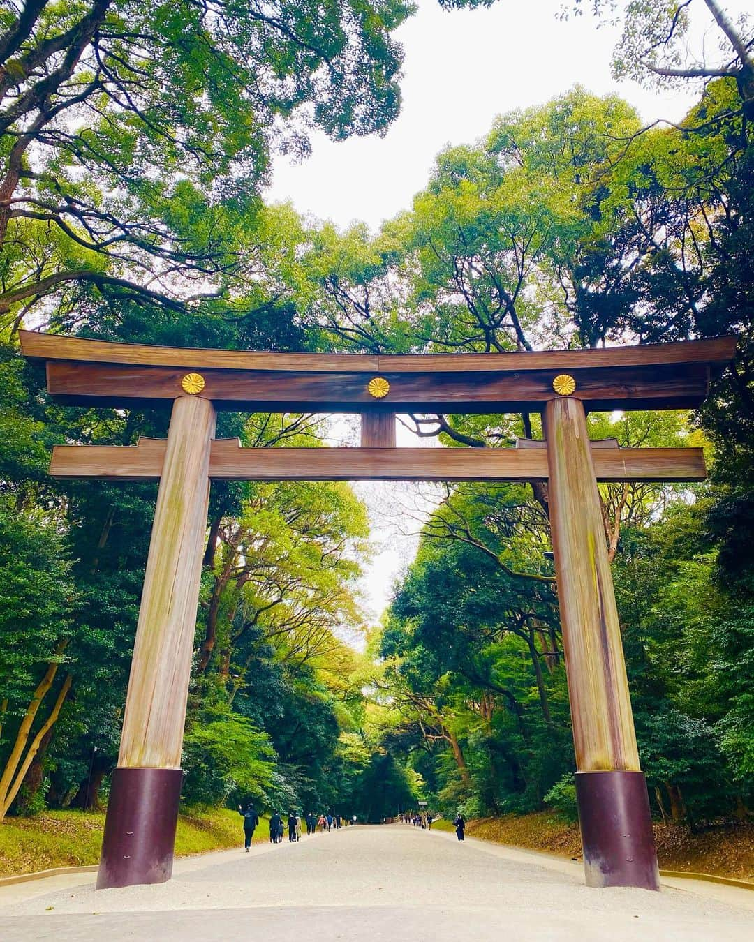 平祐奈さんのインスタグラム写真 - (平祐奈Instagram)「明治神宮百年鎮座祭🕊 貴重な記念御朱印帳。 こちらは無くなり次第終了みたいです。 #明治神宮 #祐奈の神社日記」11月14日 16時12分 - yunataira_official