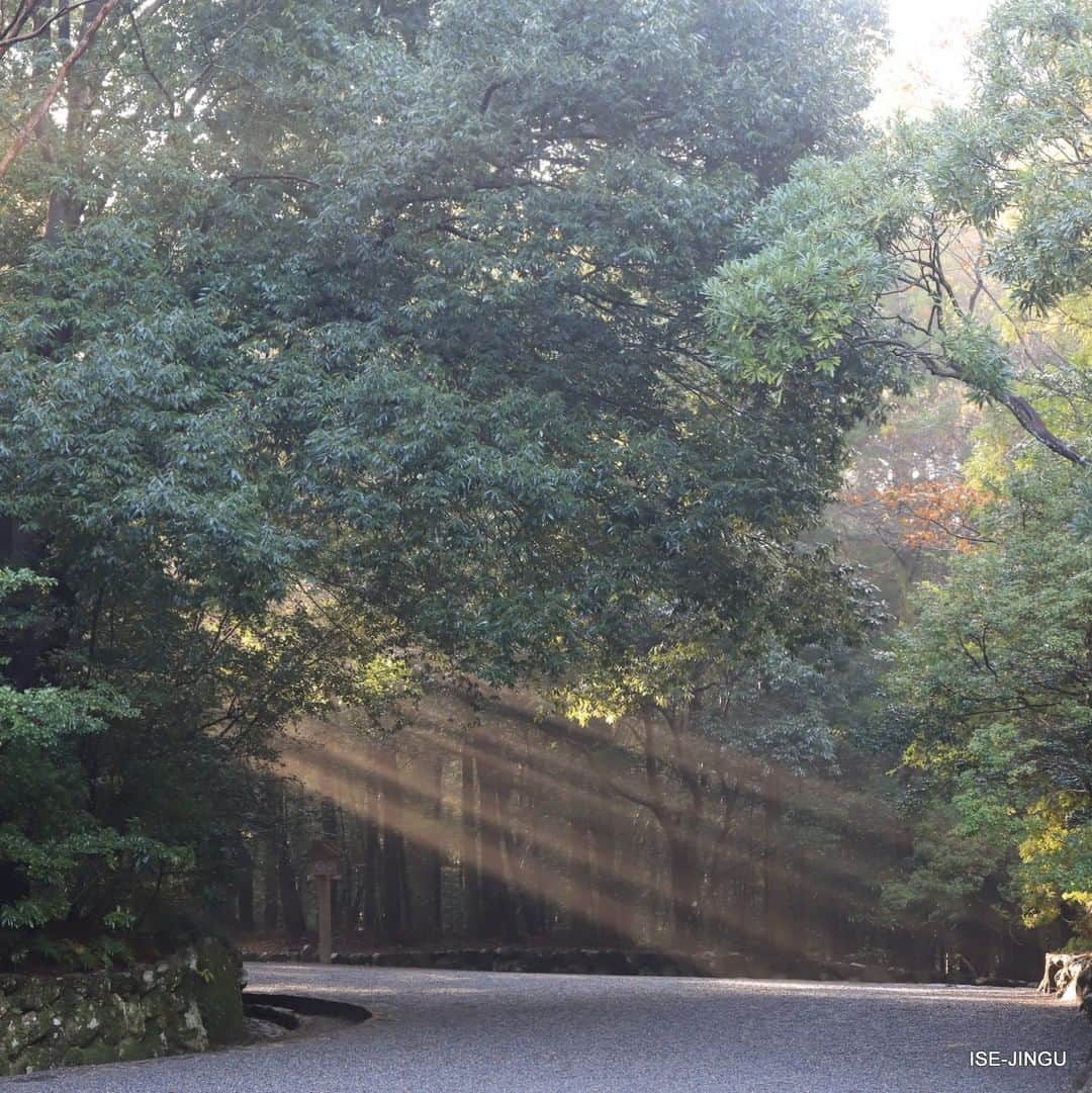 のインスタグラム：「#伊勢神宮 #神宮 #神社 #心のふるさと #内宮 #参道 #光芒 #ISEJINGU #JINGU #SOUL_of_JAPAN #japan #jinja #shinto #naiku #sunbeam」