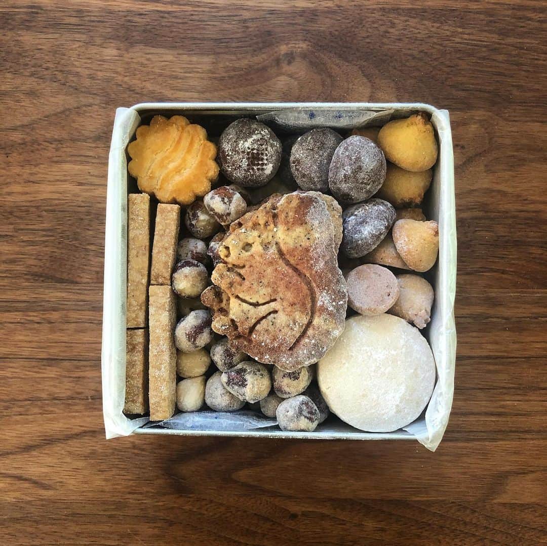 雨宮朋絵のインスタグラム：「楽しみにしていたアトリエsiroiのクッキー缶が届いた。 コンセプトは「森」。 絵本を読むように秋の森を想像させてくれるクッキー缶。  #ateliersiroi  #森」