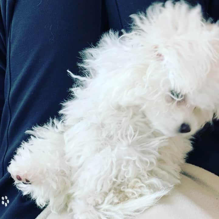 チャン・ヒジンのインスタグラム：「꼬질꼬질🤣」