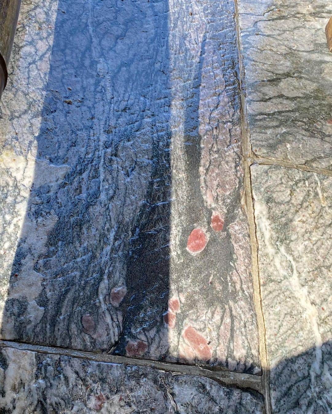 兼田恵さんのインスタグラム写真 - (兼田恵Instagram)「念願の三峯神社✨ 最高のお天気で鳥居前まで暑くて上着いらなかったのに、鳥居潜った途端に冷気が激しすぎてかき氷食べた感覚。息白かったー！ パワースポットな写真をお裾分けだよ。  #三峯神社 #三峯神社パワースポット」11月14日 11時31分 - earl_megu