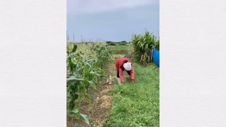 のインスタグラム：「新しい生活様式のおばあちゃん  #いいねDOGAグランプリ #チーキーズ #沖縄」