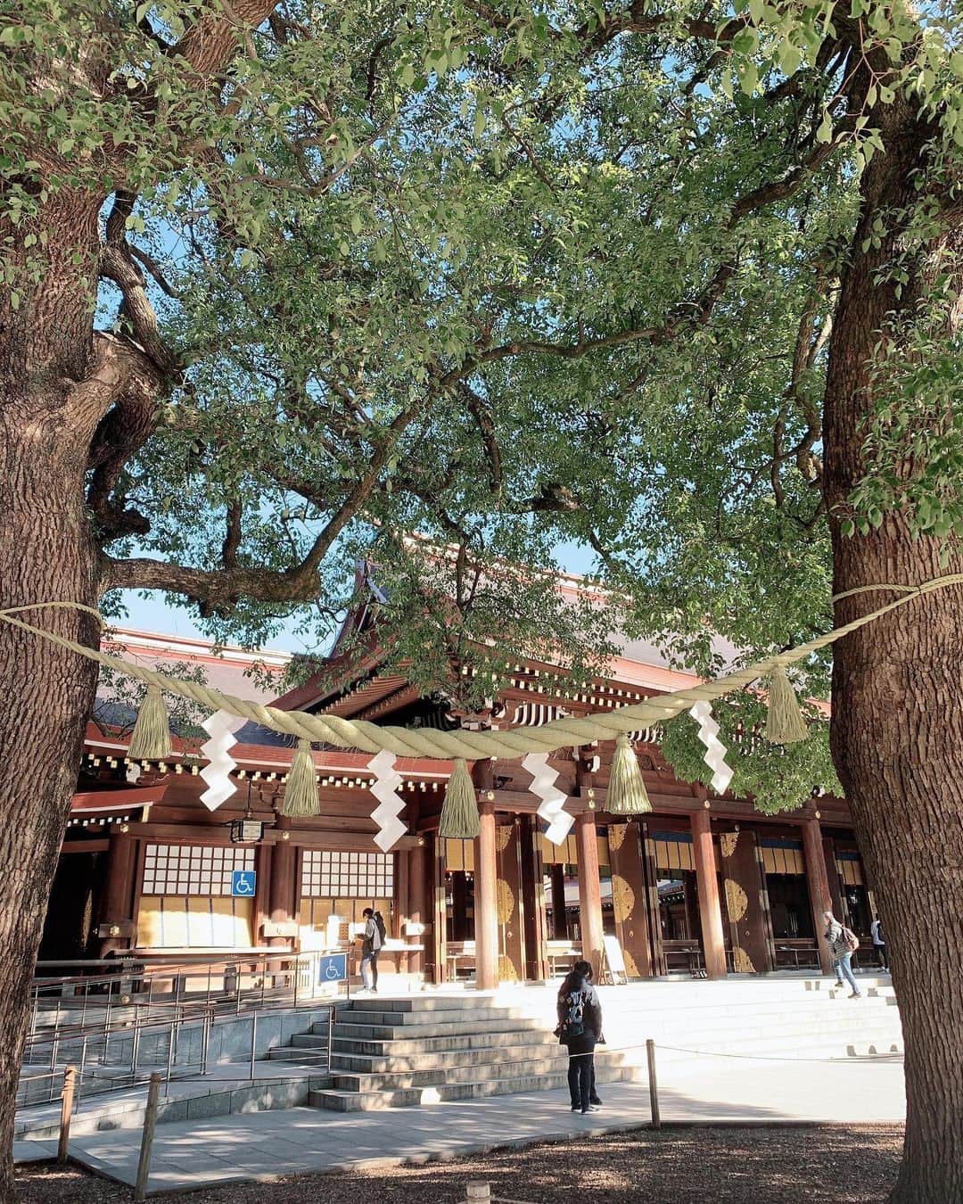 金原杏奈のインスタグラム：「Japan in January 🎌⛩☀️✨ ・ 明治神宮。」