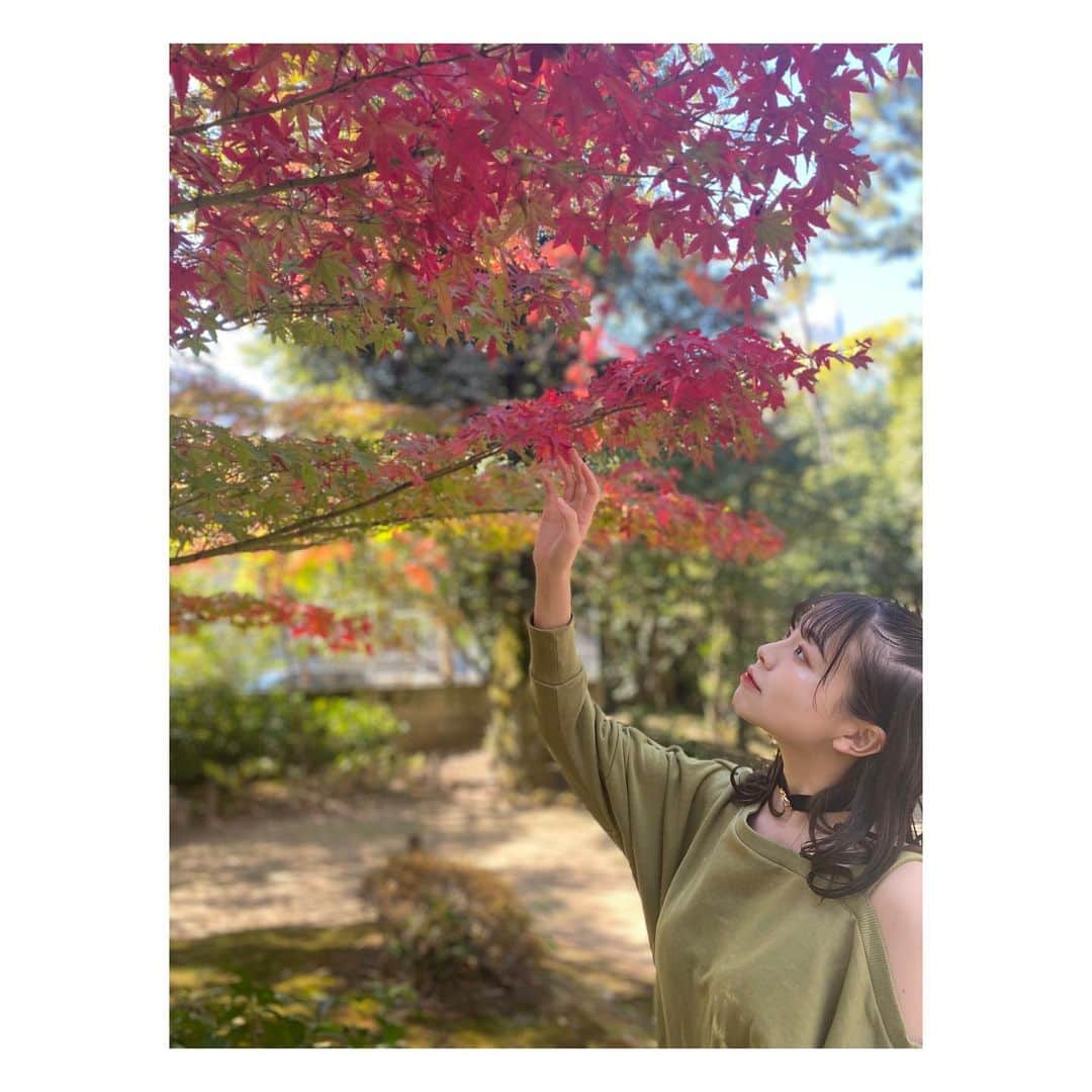 奥本陽菜さんのインスタグラム写真 - (奥本陽菜Instagram)「紅葉の季節😳 ・ ・ ・ ・ ポートレートで撮ったらすごくいい写真になりました笑」11月14日 12時32分 - hinanohiroshima