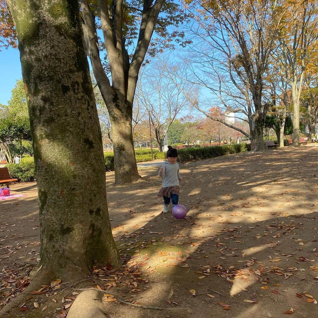 大友愛さんのインスタグラム写真 - (大友愛Instagram)「なでしこになれますか？？  @karinamaruyama   #県西公園 #公園日和 #aco ＃3歳」11月14日 12時53分 - ai_dayooon