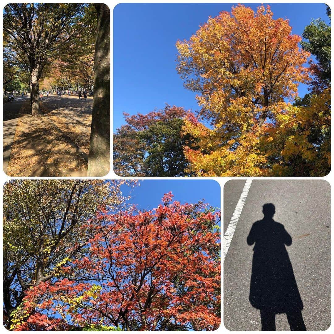 スガシカオのインスタグラム：「今日は抜群に 天気がいいので スタジオまで10km 歩いてきた  街はすっかり紅葉🍁 秋はお腹が減るなー」