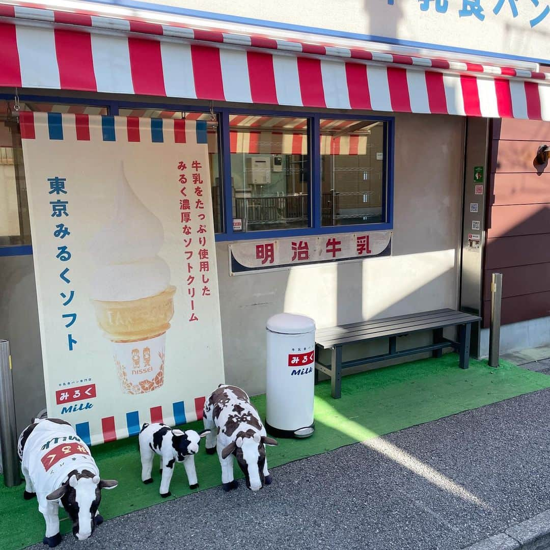 りょうくんグルメさんのインスタグラム写真 - (りょうくんグルメInstagram)「【北綾瀬駅 牛乳食パン専門店 みるく 】 可愛いレトロなソフトプリン🍮🍦 ⠀ 🏠#北綾瀬 #牛乳食パン専門店みるく 🚶‍♂️北綾瀬駅徒歩18分 📖みるくソフトプリン(¥500)×2 ⠀ レトロかわいいで話題の食パン専門店！！！ ソフトクリームがミルキーで美味しい。プリンか濃厚かためでうまうま。 サイズ小さめだけど満足感あり。 カップかわいい。ポッキーがうまい。 チェリーかわいい。 ⠀ オープンしたばかりのお店。 まさかの徒歩18分にびびったけど、地元感あって全然歩けた！ ⠀ 食パンが美味しいらしく、次々に地元のお客さんがパンをテイクアウトしてる。 200円のソフトクリームがsnsによく載ってる！ プリンは新作！！！  渋谷にも店舗オープンしたけどそっちではプリンの販売なし！ ソフトクリームは食べられるよ！ ⠀ まじでこのお店可愛すぎる！ 休日に良きよ〜〜〜  東京都足立区佐野2-7-1  定休日 水曜日  営業時間 10:00～18:00」11月14日 14時15分 - uryo1113