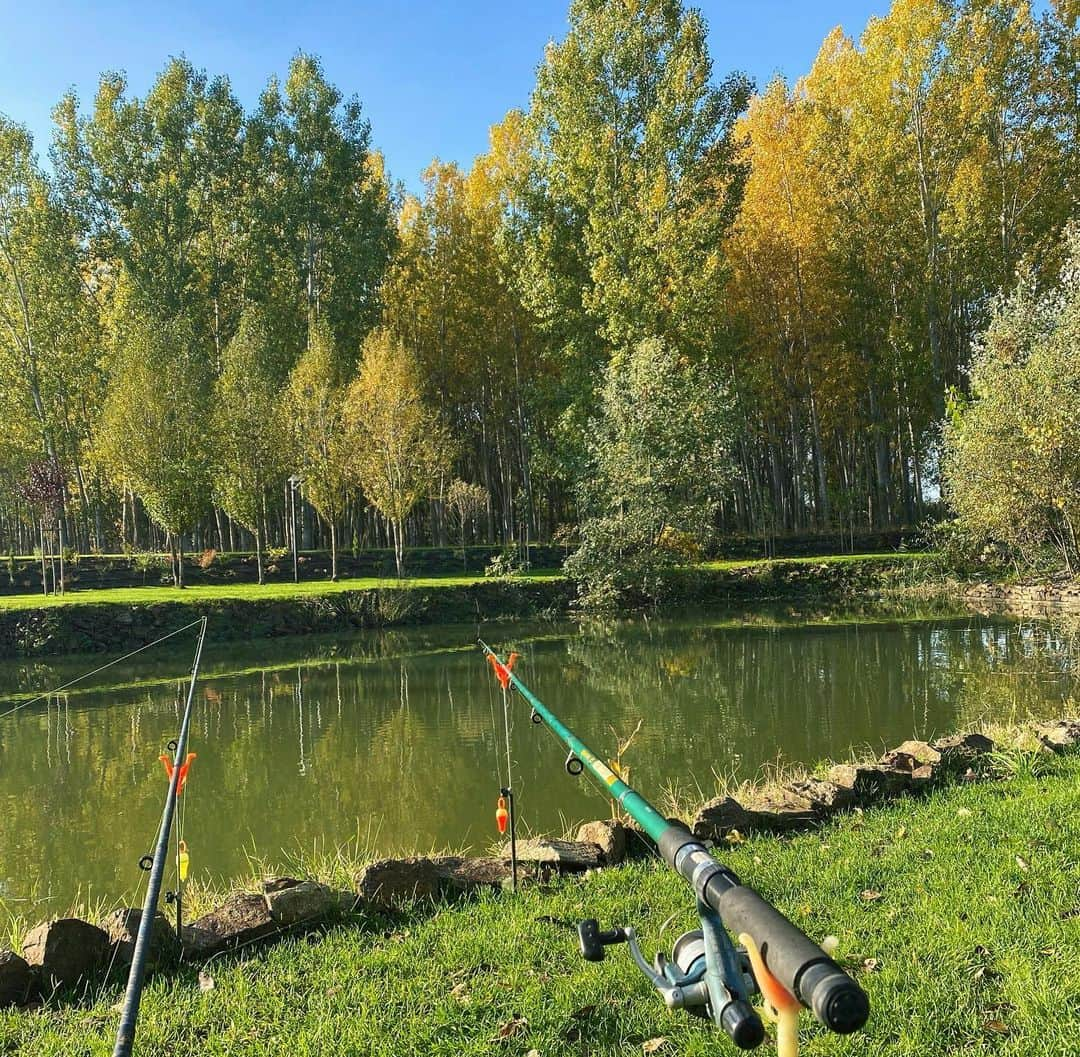 バルバラ・パルヴィンさんのインスタグラム写真 - (バルバラ・パルヴィンInstagram)「Day of fishing and tanning 💚🎣 ( with my little helpers 🐱🐱)」11月15日 0時00分 - realbarbarapalvin