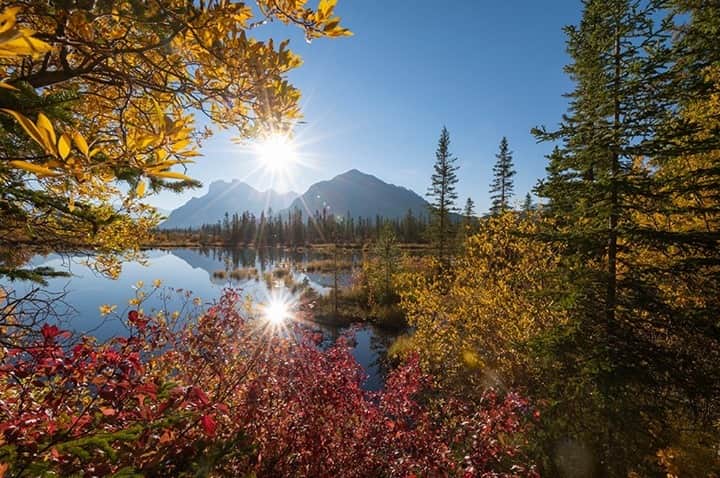 National Geographic Travelさんのインスタグラム写真 - (National Geographic TravelInstagram)「Photo by @daisygilardini / I recently visited Banff National Park in the Canadian Rocky Mountains during the height of the fall  colors. One sunny morning I found a beautiful spot along Vermilion Lakes to frame the iconic Mount Rundle among the colorful foliage. I decided to shoot with a wide-angle lens and a wide aperture of f/22 to create a starburst around the sun to add some sparkle to the image.  Follow me @DaisyGilardini for more images and stories behind the scenes. #landscapephotography #fallcolor #BanffNationalPark #Canada」11月15日 0時38分 - natgeotravel