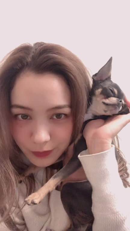 ステファニーのインスタグラム